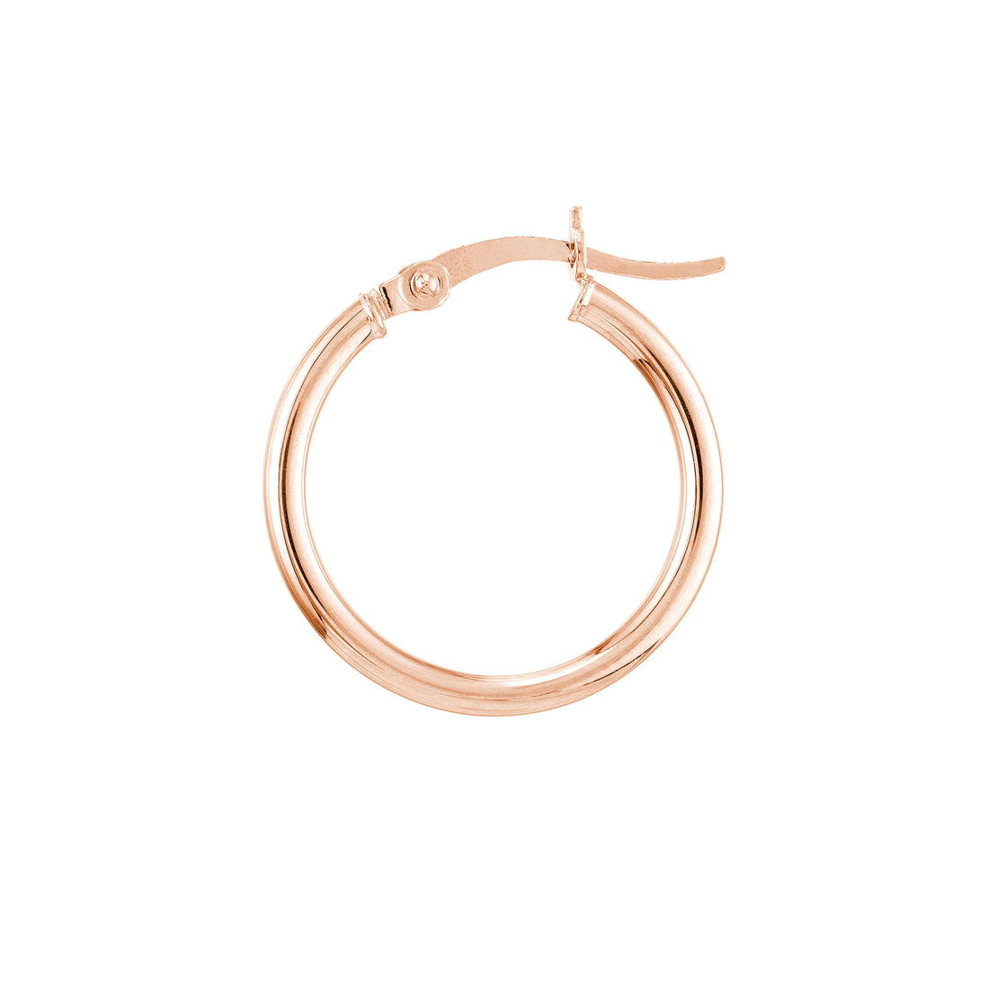 Precious Metal (No Stones) Earrings
