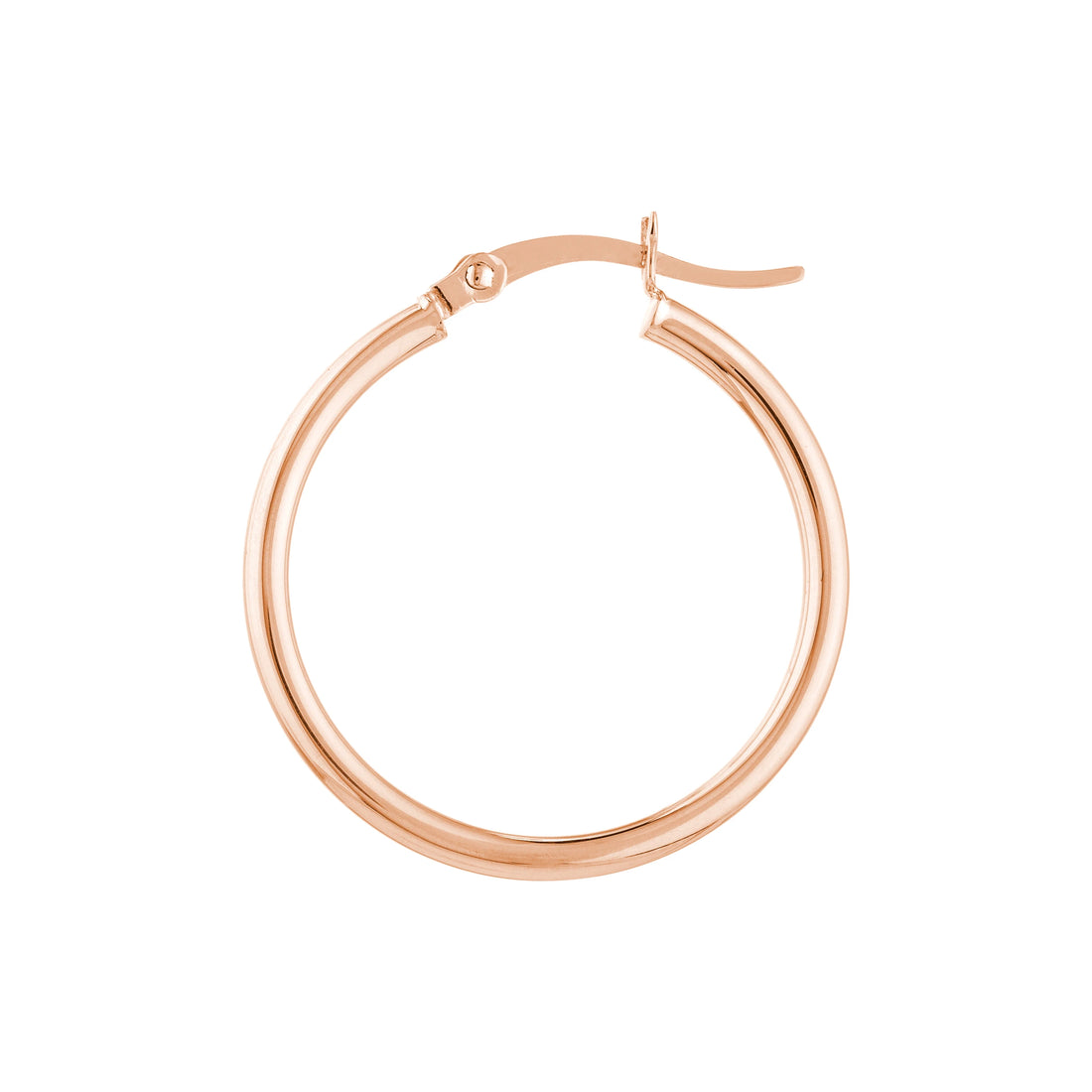 Precious Metal (No Stones) Earrings