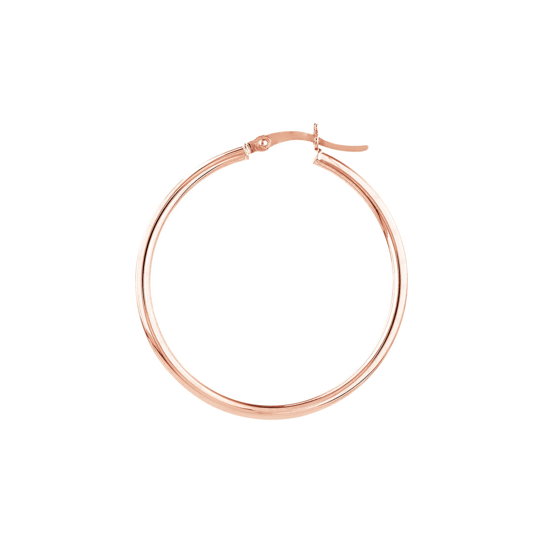 Precious Metal (No Stones) Earrings